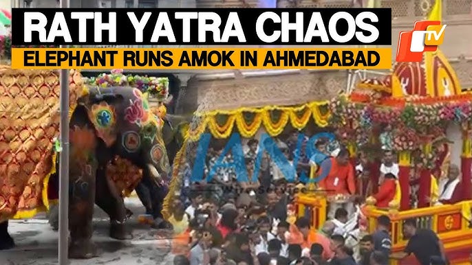 Elephant Goes Rogue During Jagannath Rath Yatra in Ahmedabad , 27 june