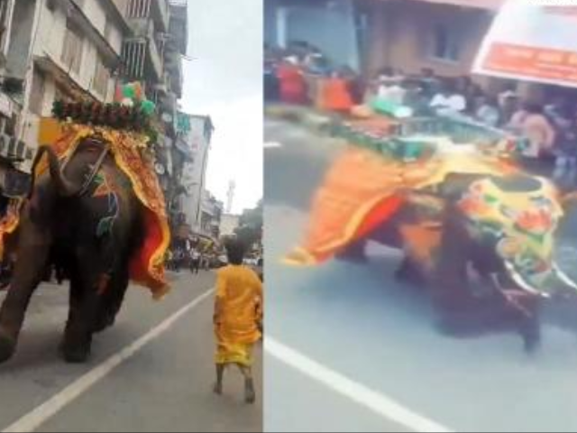 Elephant Goes Rogue During Jagannath Rath Yatra in Ahmedabad , 27 june 